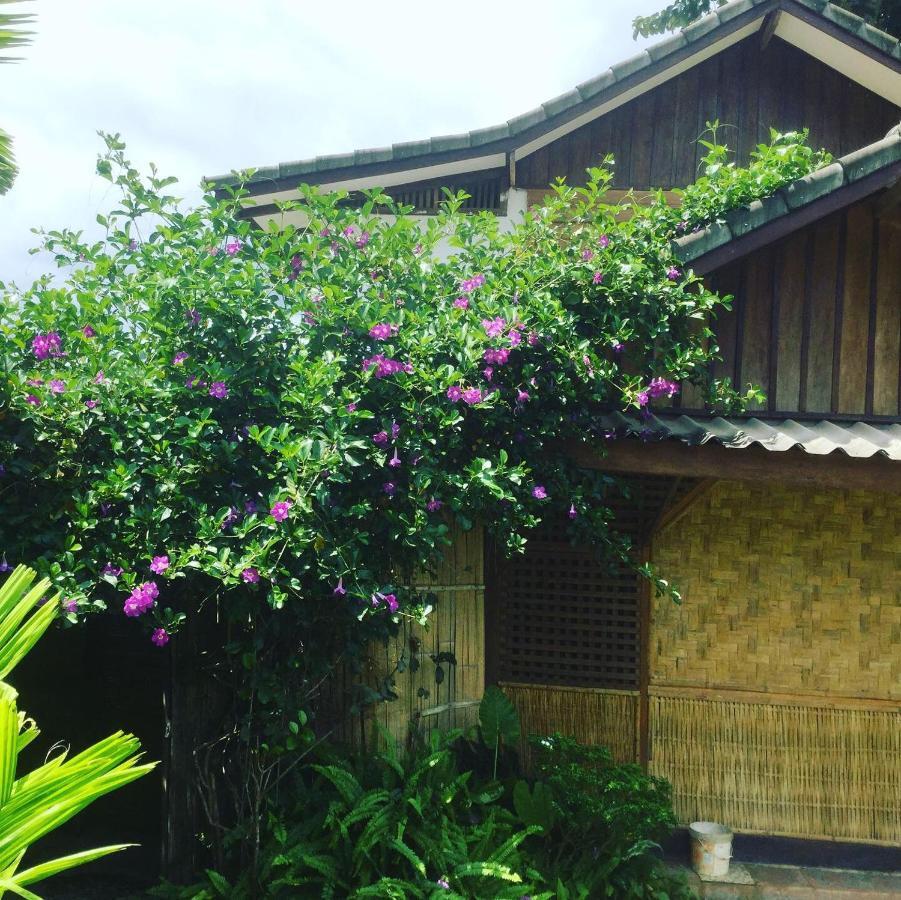 Phoxay Ngam Resort Vang Vieng Bagian luar foto